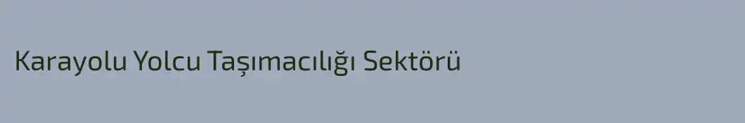 Karayolu Yolcu Taşımacılığı Sektörü